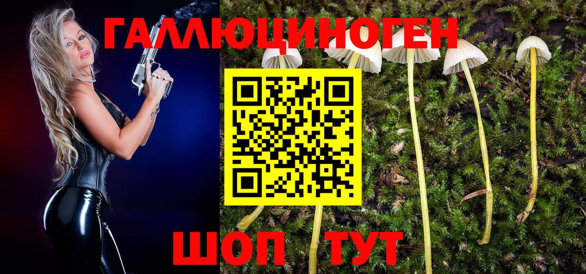 Псилоцибиновые грибы MAGIC MUSHROOMS  Вход с VPN  Тула 